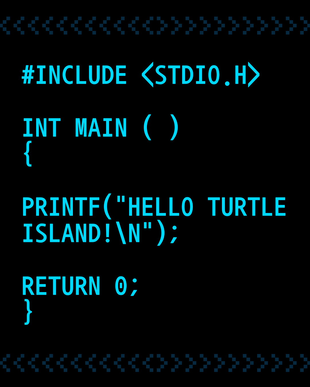 Hello Turtle Island: Why Representation in Tech Matters